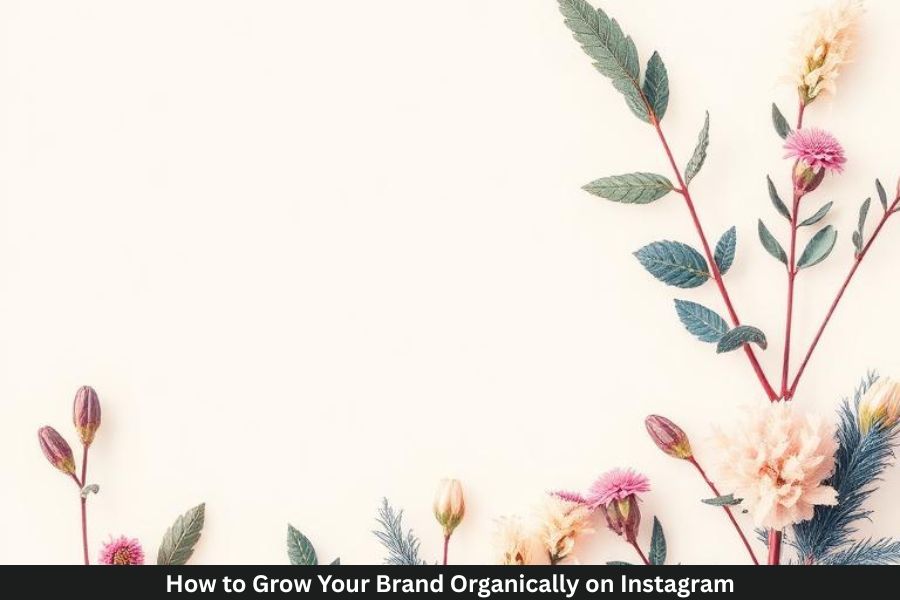 How to Grow Your Brand Organically on Instagram